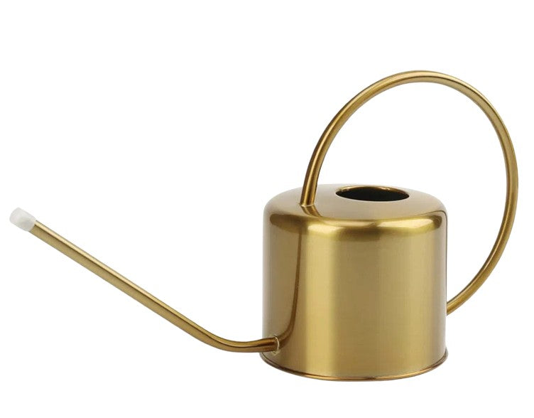 Stainless Steel Watering Can with Long Spout for Indoor and Outdoor Plants