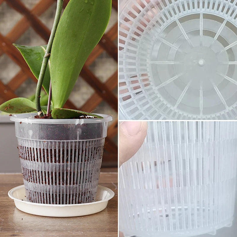 11/14/16/19Cm Mesh Pot Root Control Transparent Flowerpot for Orchid Flower Breathable Growth Container Drainage Hole Orchid Pot