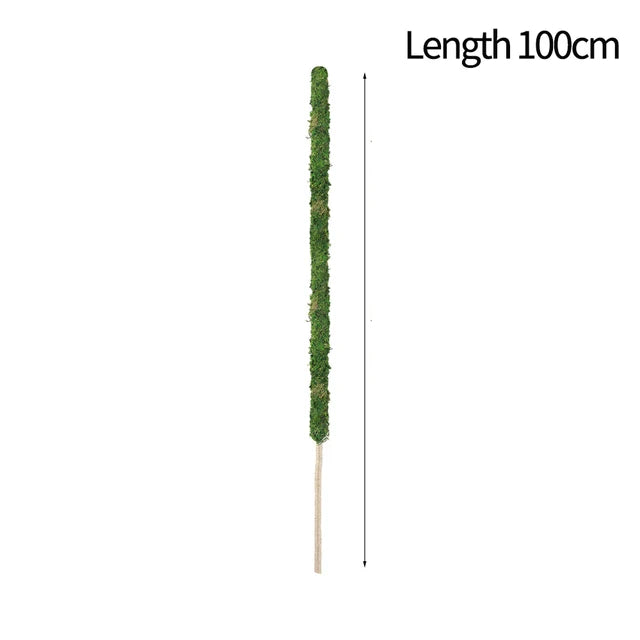 1PC Moss Pole for Monstera Bendable Tall Coco Coir Plant Support for Climbing Plants Support for Climbing