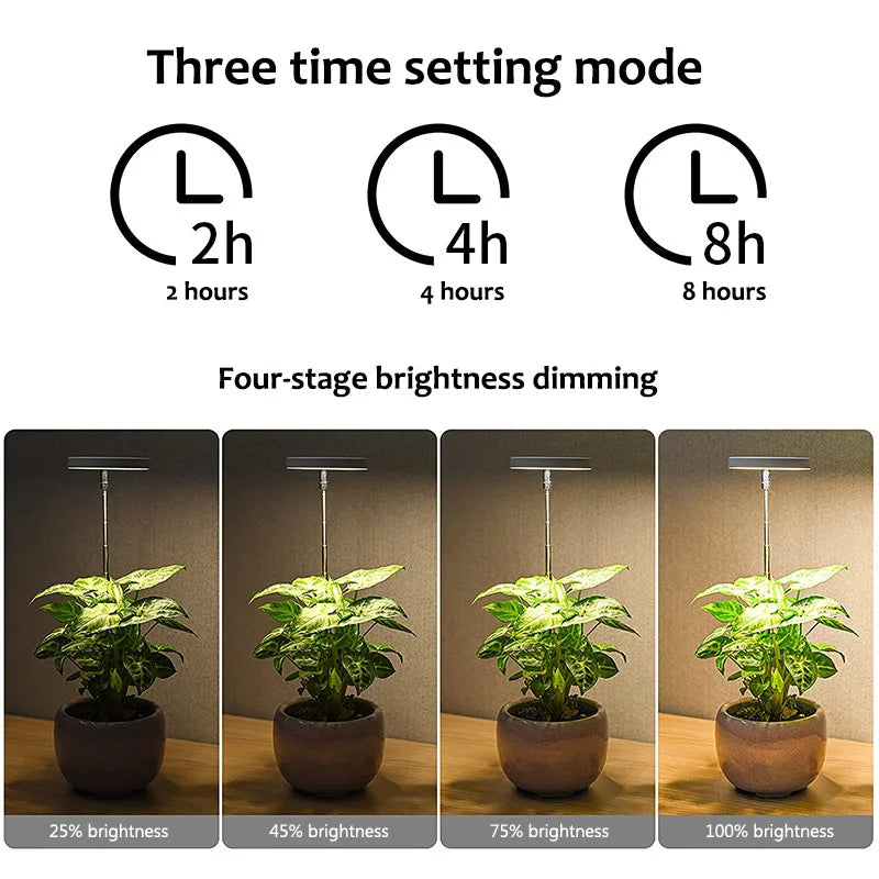 LED Indoor Angel Ring Plant Growth Light 2/4/8H On/Off Timer USB 5V Retractable Height Full Spectrum Simulated Sunlight Plant