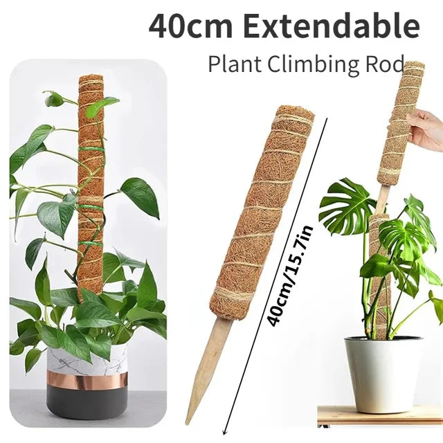 Plant Moss Coir Pole Bendable Plants Climbing Support Extension Palm Vines Stick Indoor Balcony Garden Courtyard Flower Decor