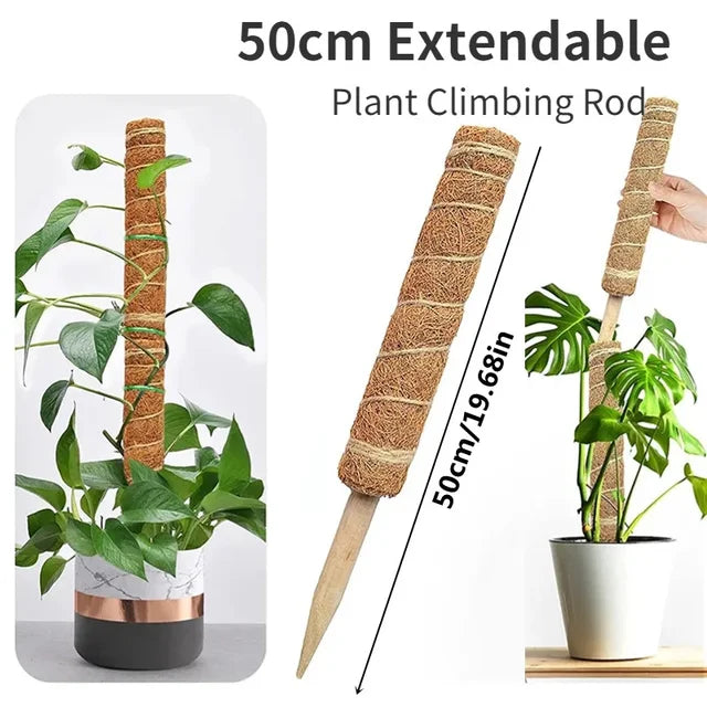 Plant Moss Coir Pole Bendable Plants Climbing Support Extension Palm Vines Stick Indoor Balcony Garden Courtyard Flower Decor