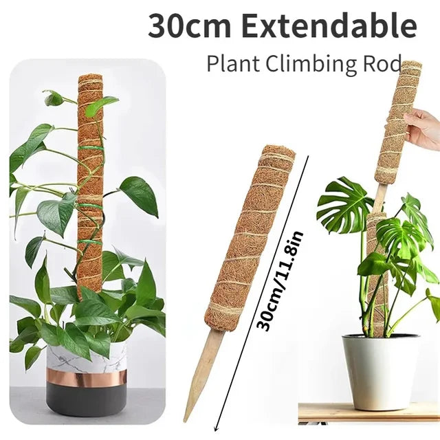 Plant Moss Coir Pole Bendable Plants Climbing Support Extension Palm Vines Stick Indoor Balcony Garden Courtyard Flower Decor